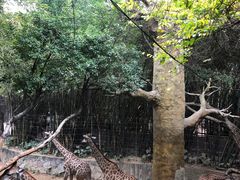-长鹿旅游休博园