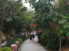 -小南山公园