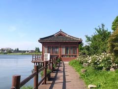 -鹅湖玫瑰文化园