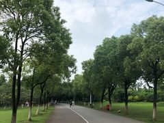 -艾溪湖湿地公园