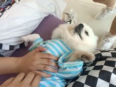 -怪兽屋·羊驼·猫咖·狗咖(俊华广场店)