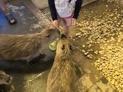 -郑州银基黄帝宫御温泉