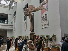 -自贡恐龙博物馆