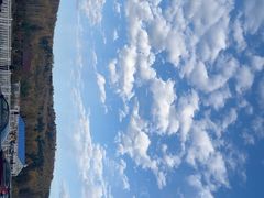 -五营红松林海景区