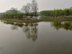 -东郊湿地公园