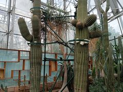 -北京植物园-展览温室