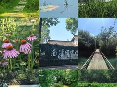 -西溪国家湿地公园