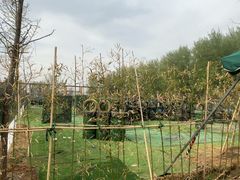 -尚庄度假村·庭台树下·户外烧烤·团建CS·轰趴营地(上庄水库店)