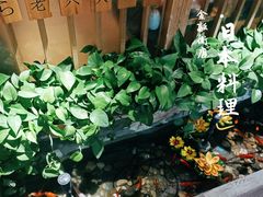 -昱匠·日本料理(金融街店)