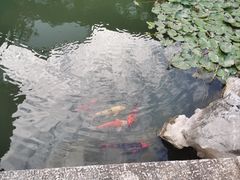 -张家港凤凰山景区恬庄古街