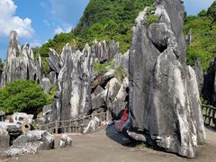 -玉石林风景区