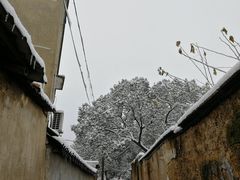 -孝丰南门锅贴(南街店)