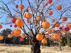 -沂蒙山旅游区云蒙景区(蒙山国家森林公园)
