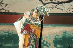 -红颜印画古风汉服艺术摄影