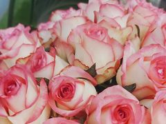 -花心思鲜花店(武昌徐东店)