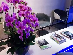 大厅-SEBASTIAN塞巴斯汀