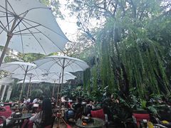-Fern Forest Cafe