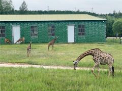 -鄂尔多斯野生动物园