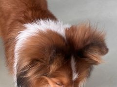 -小意思咖啡店(草桥店)