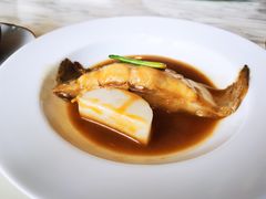 鲳鱼烧年糕-新荣记(新源南路店)