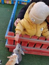 -萌宠亲子动物乐园(槐房万达店)