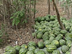 -拜城克孜尔千佛洞-售票处