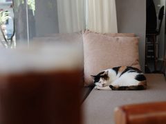 -转山咖啡(松柏社区店)