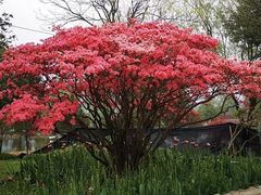 -杭州六谷生态休闲农庄有限公司