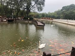 -万佛湖风景区