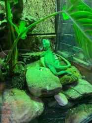 -酷嗒动物文化乐园(cutezoo西溪乐天城店)