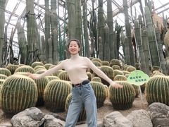-南山植物园