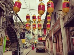 -猫咪博物馆(顶澳仔猫街店)