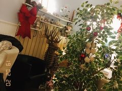 -Deer Park鹿园西餐(仁恒置地广场店)