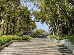 -深圳国际园林花卉博览园