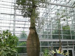 -南山植物园