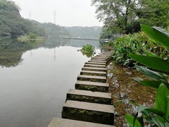 -重庆彩云湖湿地公园
