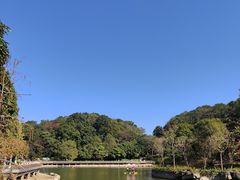 -广州市帽峰山景区