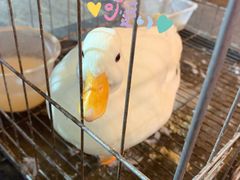 -OneFit健身(汇锦城店)