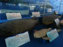 -北海·海洋之窗