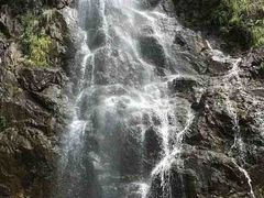 -青龙山国家森林公园