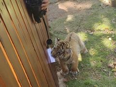 -西霞口神雕山野生动物世界