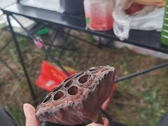 -长春市南湖公园