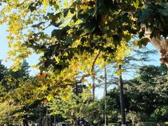 -青岛中山公园-索道售票处