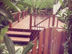 -崇明东平国家森林公园烧烤房车露营地