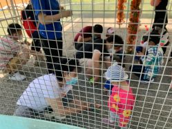 -萌宠亲子动物乐园(槐房万达店)