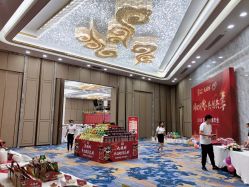 -成都瑞城名人酒店·宴会厅