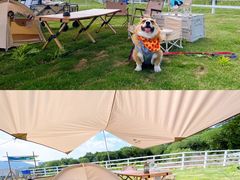 -南京外国语学校(仙林分校西区)