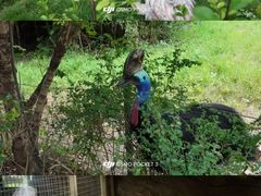 -宁波野生动物园