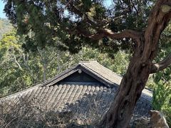 -无锡梅园公园