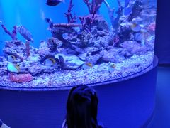 -贝林大翅鲸简餐厅(国家海洋博物馆店)